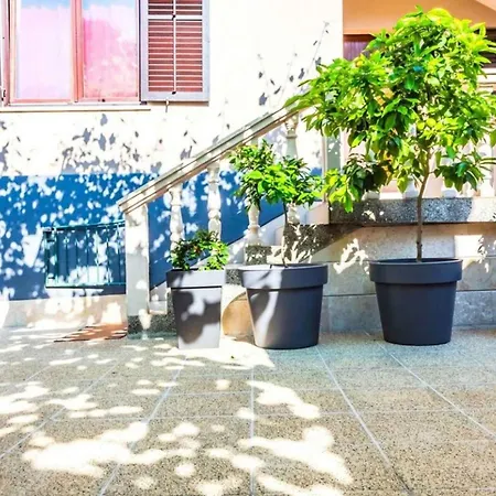 In - Istrien 36089 *